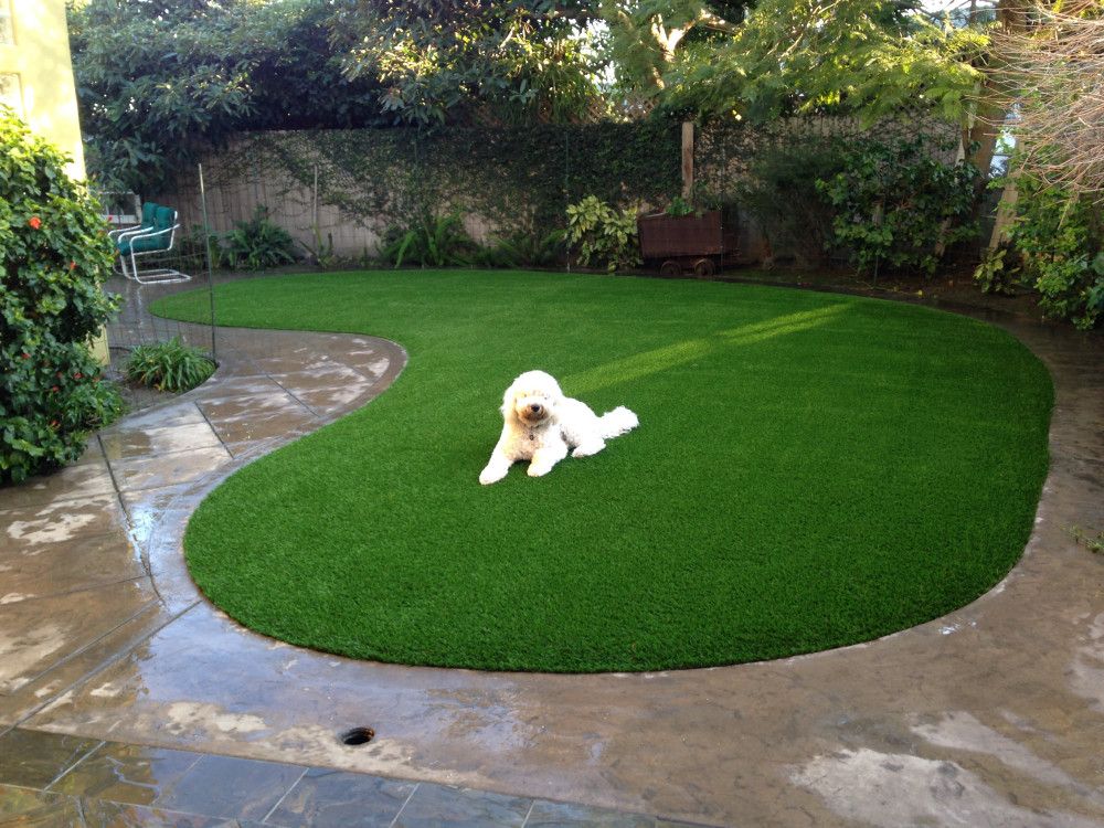 Pet turf installed by Always Green