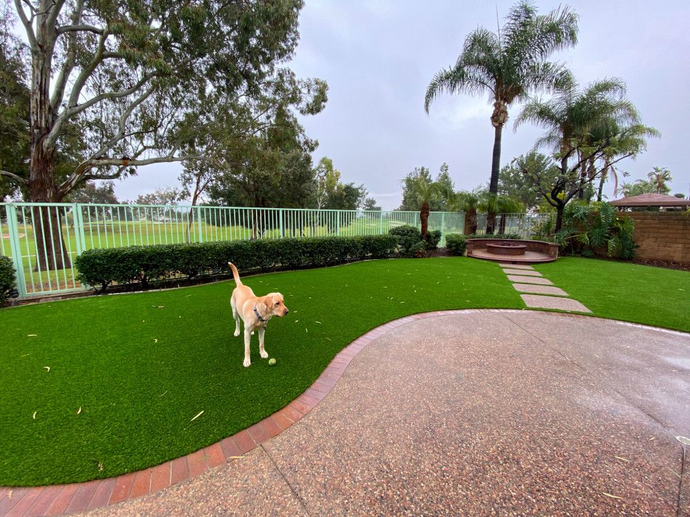 Pet turf installed by Always Green